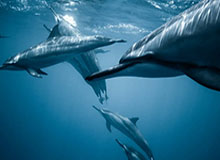 米乐体育：点亮热爱，成就你的体育新生活